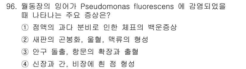 수산양식기사 2019년 96번 - . Pseudomonas fluorescens에 의한 감염은 주로 세균의... 에 관한 핵심 기출문제