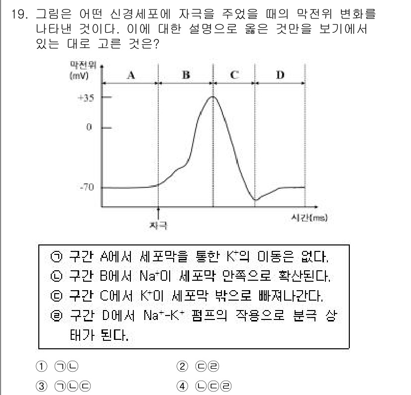 경찰공무원(순경)_과학 2017년 19번 - 문제에서 물어본 것은 신경세포의 자극에 대한 반응을 설명하는 것으로, 각... 에 관한 핵심 기출문제