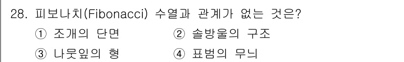 시각디자인기사 2019년 28번 - . 표현의 무늬

피보나치 수열은 자연계에서 자주 나타나는 규칙으로, 특... 에 관한 핵심 기출문제