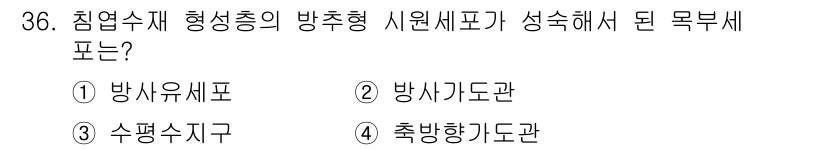 임산가공기사 2016년 36번 - 목부세포는 접합부의 세포로, 축 방향으로 배열되어 있는 성질이 있어 축 ... 에 관한 핵심 기출문제