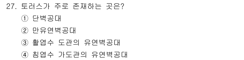 임산가공기사 2018년 27번 - 정답은 ④ 침엽수 가공과의 유연벽 공대입니다. 토러스는 주로 침엽수에서 ... 에 관한 핵심 기출문제