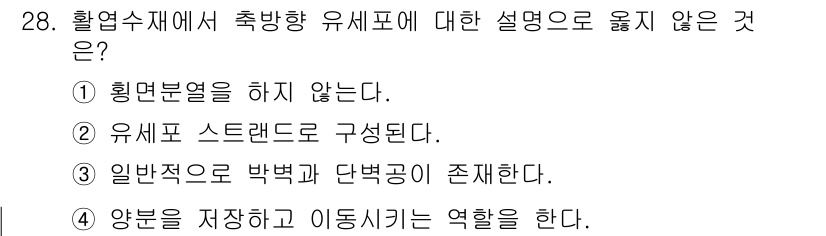 임산가공기사 2018년 28번 - . 

흐름수재는 축 방향 유세포를 가지지 않아, 유세포가 설치된 방향으... 에 관한 핵심 기출문제