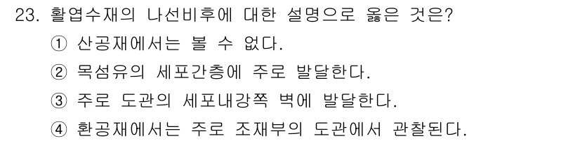 임산가공기사 2019년 23번 - . 

주로 도관의 시멘트 강좌 벽에 발달한다는 설명은 올바르지 않다. ... 에 관한 핵심 기출문제