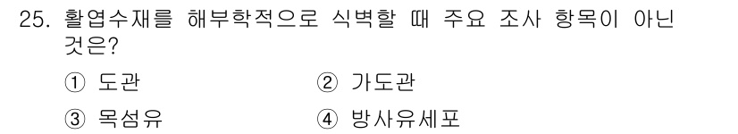 임산가공기사 2019년 25번 - . 기도관  

해산물의 해부학적 구조를 조사할 때, 도관, 목상유, 방... 에 관한 핵심 기출문제