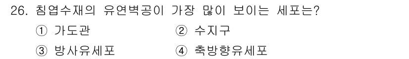 임산가공기사 2019년 26번 - . 

임산물의 유연변형 공정에서는 가로관이 유연하게 변형되기 때문에 다... 에 관한 핵심 기출문제