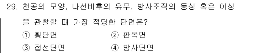 임산가공기사 2019년 29번 - 정답은 4번 방사단면입니다. 방사조직의 동성을 분석할 때, 방사단면이 가... 에 관한 핵심 기출문제