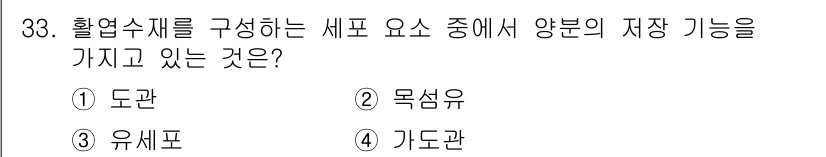 임산가공기사 2019년 33번 - 정답은 3. 유세포입니다. 유세포는 식물의 저장 조직으로, 양분을 저장하... 에 관한 핵심 기출문제