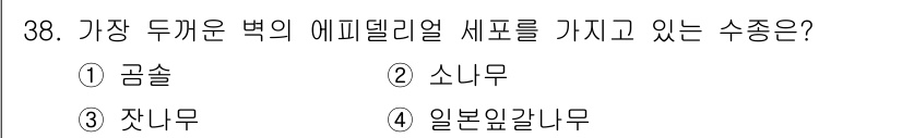 임산가공기사 2019년 38번 - . 일본잎갈나무  
일본잎갈나무는 곰솔과 소나무와 달리 결정적으로 다른 ... 에 관한 핵심 기출문제