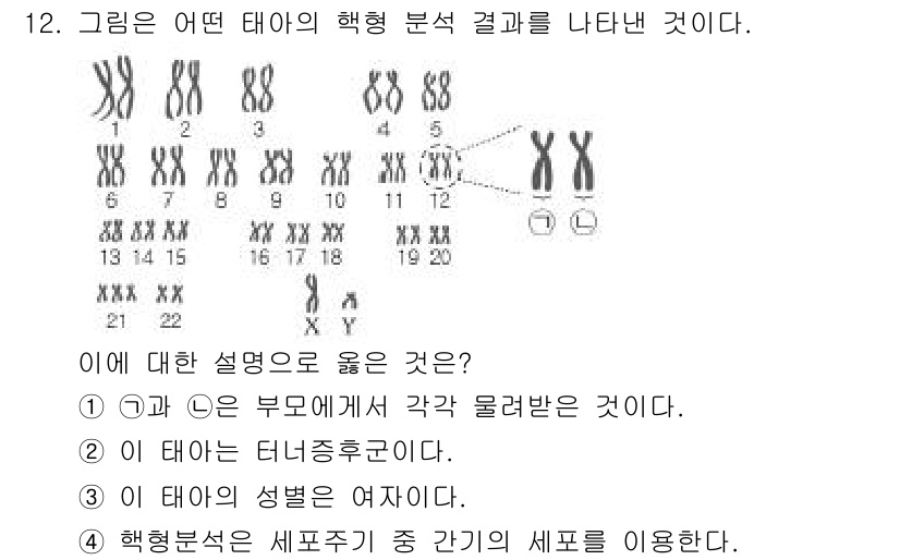 소방공무원(공개)_과학(구) 2018년 12번 - 주어진 그림은 태아의 염색체 배열을 나타내며, 주요 포인트는 염색체 수와... 에 관한 핵심 기출문제