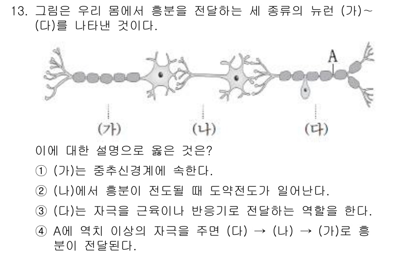 소방공무원(공개)_과학(구) 2018년 13번 - 정답 4번은 신경 세포의 기능을 설명합니다. (가)에서 (나)로 흥분이 ... 에 관한 핵심 기출문제