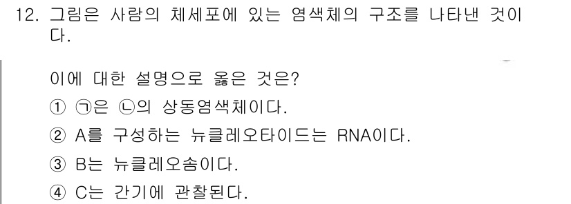 소방공무원(공개)_과학(구) 2019년 12번 - 그림에 나타난 구조는 뉴클레오솜으로, DNA가 히스톤 단백질에 감겨 있는... 에 관한 핵심 기출문제