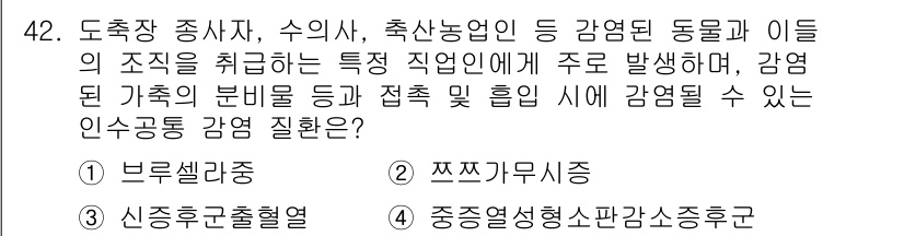 농작업안전보건기사 2019년 42번 - . **브셀라병**

브셀라병은 농작업 종사자가 감염될 수 있는 주요 질... 에 관한 핵심 기출문제