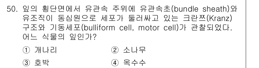생물분류기사(동물) 2015년 50번 - 정답은 4번 옥수수이다. 옥수수는 C4 식물로, 크란츠 구조를 통해 CO... 에 관한 핵심 기출문제