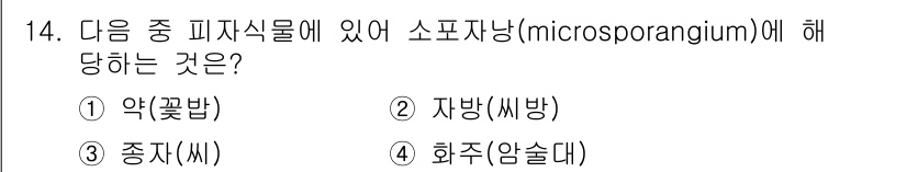 생물분류기사(동물) 2016년 14번 - 소포자낭(microsporangium)은 곤충이나 식물에서 포자를 형성하... 에 관한 핵심 기출문제