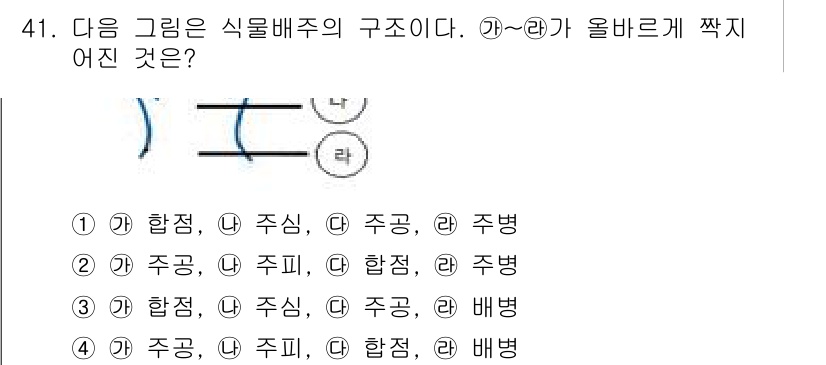 생물분류기사(동물) 2016년 41번 - 해설: 그림에서는 식물배주에서 각각의 구조물(주황, 초록 등)이 나타나며... 에 관한 핵심 기출문제