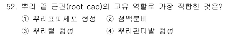생물분류기사(동물) 2016년 52번 - 뿌리 끝 근관(root cap)은 뿌리가 흙을 뚫고 나아갈 수 있도록 보... 에 관한 핵심 기출문제