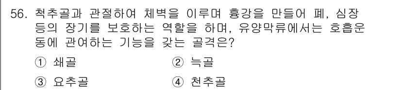 생물분류기사(동물) 2016년 56번 - 정답은 2번 "늑골"입니다. 늑골은 척추동물에서 thoracic cavi... 에 관한 핵심 기출문제