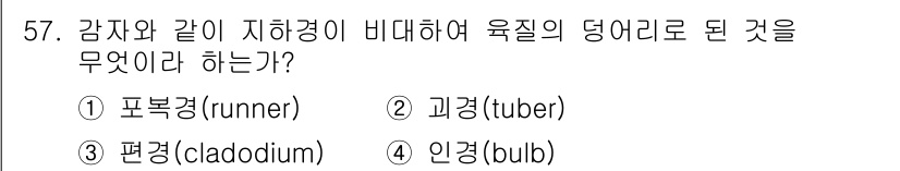 생물분류기사(동물) 2016년 57번 - 정답은 2번 괴경(tuber)입니다. 괴경은 지하에서 저장 조직이 발달하... 에 관한 핵심 기출문제