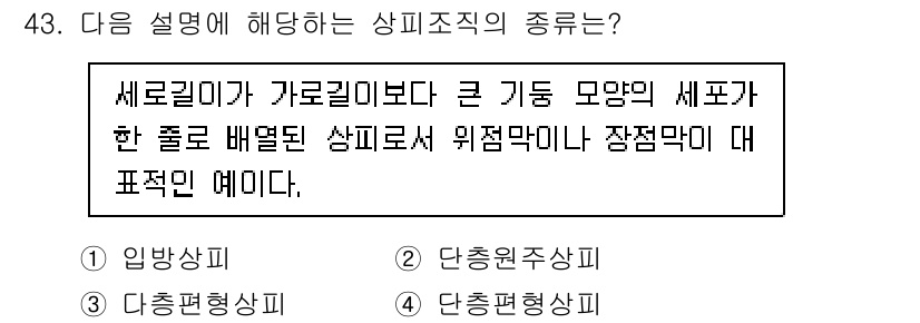 생물분류기사(동물) 2017년 43번 - 정답은 2번 단층원주상피이다. 세포들이 긴 기둥 형태로 배열되어 있으며,... 에 관한 핵심 기출문제