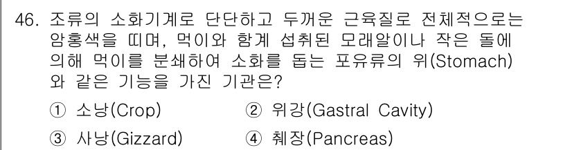 생물분류기사(동물) 2017년 46번 - 정답은 3번, 샘입니다. 샘은 음식을 조리하고 소화되는 과정에서 중요한 ... 에 관한 핵심 기출문제
