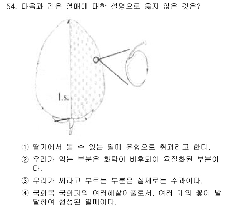 생물분류기사(동물) 2017년 54번 - 정답 4번은 국화과 국화의 여러 개의 꽃이 발달하여 형성된 열매에 대한 ... 에 관한 핵심 기출문제
