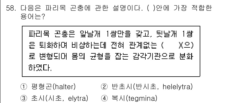 생물분류기사(동물) 2017년 58번 - 파리목 곤충의 앞날개는 1쌍만을 가지고 있으며, 뒷날개 1쌍은 퇴화되어 ... 에 관한 핵심 기출문제