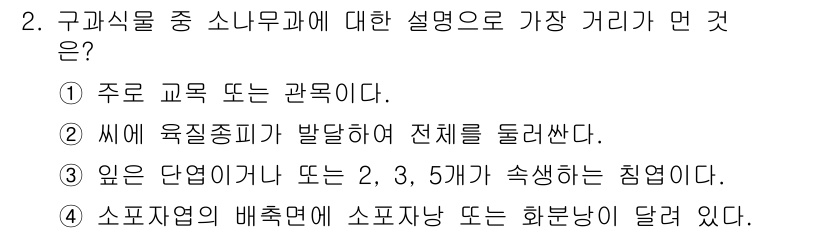 생물분류기사(식물) 2018년 2번 - 구파식물은 소나무과에 속하며, 이들은 주로 침엽수로서 바늘 모양의 잎을 ... 에 관한 핵심 기출문제