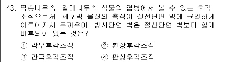 생물분류기사(식물) 2018년 43번 - . 판상후각조직

판상후각조직은 식물의 접합 조절과 기체 교환에 적합한 ... 에 관한 핵심 기출문제