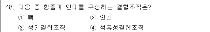생물분류기사(식물) 2018년 48번 - '삼유성결합조직'은 식물에서 세포가 서로 연결되어 구조를 형성하는 조직으... 에 관한 핵심 기출문제
