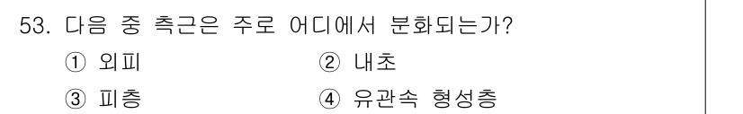 생물분류기사(식물) 2018년 53번 - 주로 분화된 곳은 내초로, 이는 식물의 내부 구조에서 특정 기능을 가지는... 에 관한 핵심 기출문제