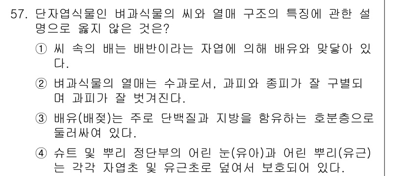 생물분류기사(식물) 2018년 57번 - 단자엽식물의 배와 열매 구조에 대한 설명 중 "배유(배젖)는 주로 단백질... 에 관한 핵심 기출문제