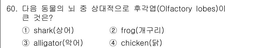 생물분류기사(식물) 2018년 60번 - 정답은 1. shark입니다. 상어는 후각이 매우 발달한 생물로, 그 뇌... 에 관한 핵심 기출문제