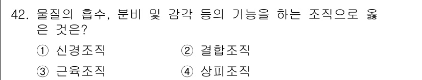 생물분류기사(식물) 2019년 42번 - 정답은 4번 상피조직이다. 상피조직은 외부 환경과의 경계를 형성하며 물질... 에 관한 핵심 기출문제