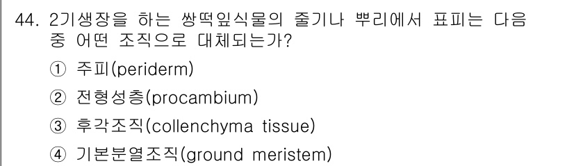 생물분류기사(식물) 2019년 44번 - 정답은 1번 주피(periderm)입니다. 주피는 식물의 외부를 보호하고... 에 관한 핵심 기출문제