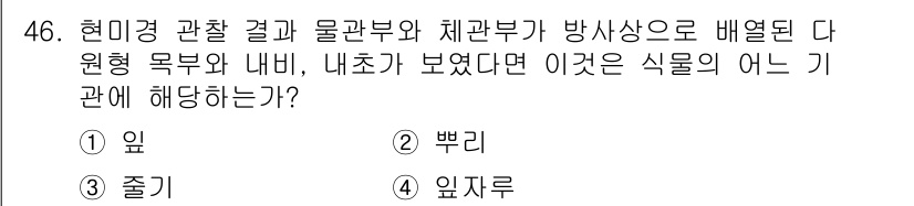 생물분류기사(식물) 2019년 46번 - 정답은 2번 '뿌리'입니다. 현대생물분류학에서 뿌리는 식물의 물관부와 체... 에 관한 핵심 기출문제