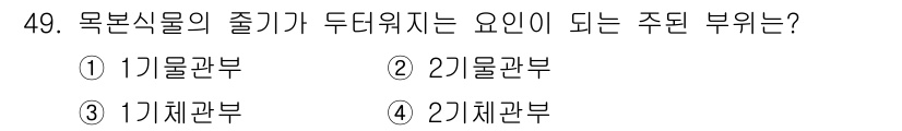 생물분류기사(식물) 2019년 49번 - 목본식물의 줄기가 두꺼워지는 주된 이유는 2) 기물관부입니다. 기물관부는... 에 관한 핵심 기출문제