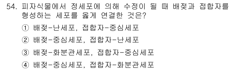 생물분류기사(식물) 2019년 54번 - 피자식물에서 정세포가 형성될 때, 배젖과 접합자가 연결되는 세포는 배젖-... 에 관한 핵심 기출문제
