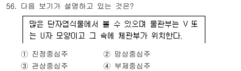 생물분류기사(식물) 2019년 56번 - 정답은 4번 부채심수이다. 부채심수는 여러 단에서 V 또는 U 형태의 모... 에 관한 핵심 기출문제