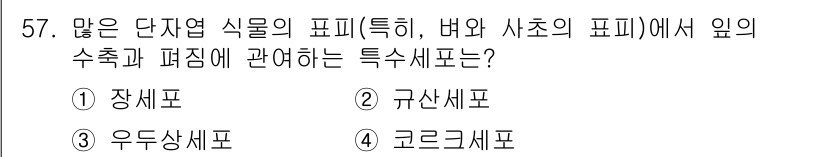 생물분류기사(식물) 2019년 57번 - 정답은 3번 코르크세포입니다. 코르크세포는 식물의 표피에서 형성되어 외부... 에 관한 핵심 기출문제