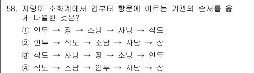 생물분류기사(식물) 2019년 58번 - 식물의 분류 순서는 잎의 구조 및 형태가 주된 기준이 되며, 이 순서에서... 에 관한 핵심 기출문제