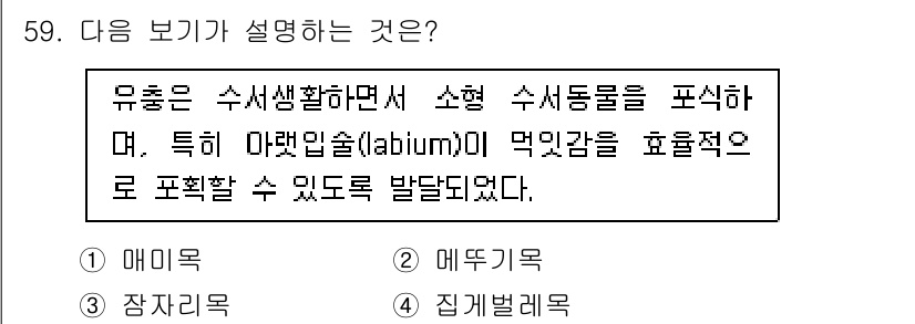 생물분류기사(식물) 2019년 59번 - 정답 3번은 유혹된 수서생물에서 소형 수서동물의 생태적 역할을 설명하고 ... 에 관한 핵심 기출문제