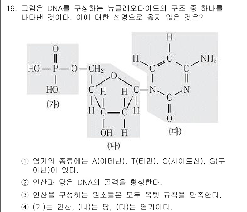 9급_지방직_공무원_과학 2019년 19번 - 인산이 DNA의 기능이나 구조를 설명하는 데 직접적으로 관련되지 않기 때... 에 관한 핵심 기출문제