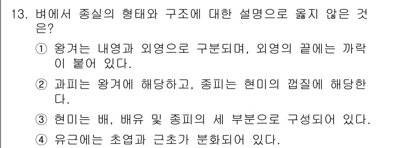 9급_지방직_공무원_식용작물 2016년 13번 - ④ 유근은 초엽과 근조로 구분되 있다.  
이 설명은 유근의 구조를 잘못... 에 관한 핵심 기출문제