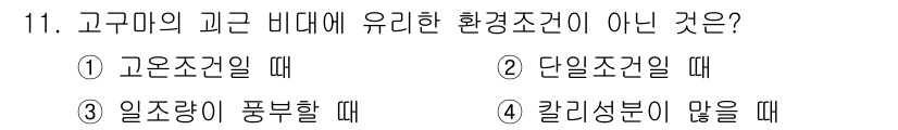 9급_지방직_공무원_식용작물 2019년 11번 - 고구미는 고온 조건에서 잘 자라지 않으며, 일반적으로 적정 온도에서 성장... 에 관한 핵심 기출문제