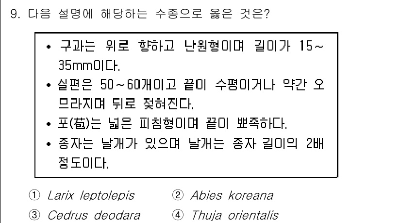9급_지방직_공무원_조림 2016년 9번 - 주어진 설명에서 "구관(灌冠)은 위로 향하고 난원형의 길이가 15~35m... 에 관한 핵심 기출문제