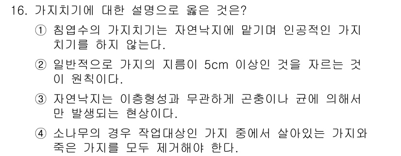 9급_지방직_공무원_조림 2017년 16번 - 가치치기에서 올바른 설명은 주로 생태계와 자원 관리와 관련됩니다. 침엽수... 에 관한 핵심 기출문제