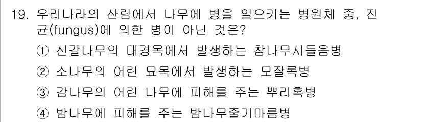 9급_지방직_공무원_조림 2017년 19번 - 쑥부쟁이병은 일반적으로 쑥부쟁이과 식물에 영향을 미치는 병원균에 의해 발... 에 관한 핵심 기출문제