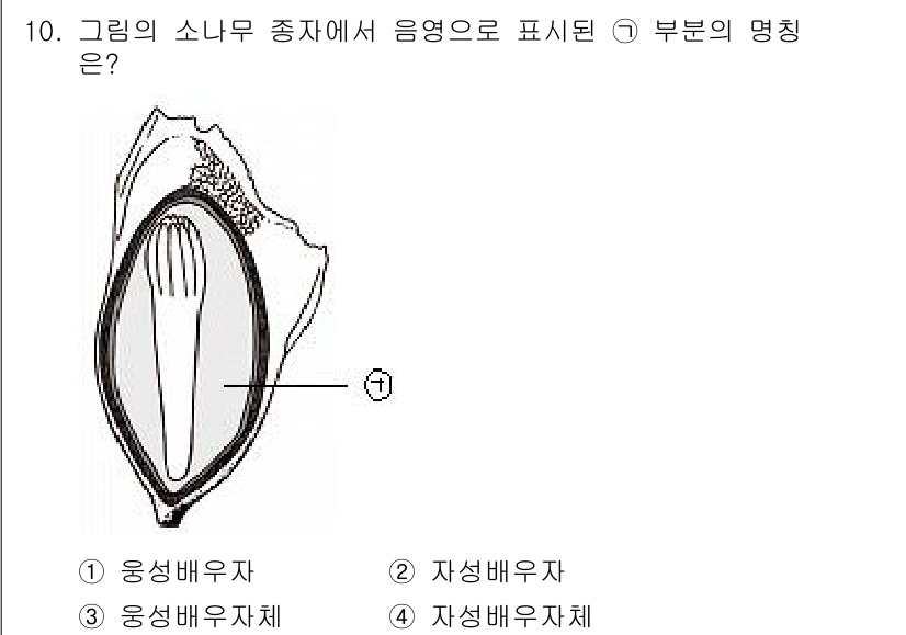 9급_지방직_공무원_조림 2018년 10번 - 그림의 소나무 종자에서 표시된 부분은 "웅성배우자"입니다. 웅성배우자는 ... 에 관한 핵심 기출문제