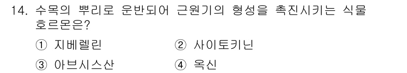 9급_지방직_공무원_조림 2018년 14번 - 정답은 4. 옥신이다. 옥신은 식물의 성장과 발달에 중요한 역할을 하며,... 에 관한 핵심 기출문제