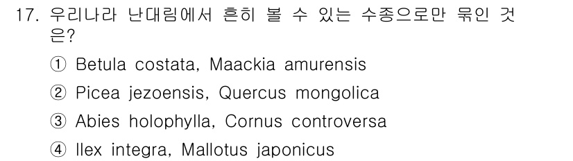 9급_지방직_공무원_조림 2019년 17번 - . 

정답인 이유는 Betula costata와 Maackia amur... 에 관한 핵심 기출문제